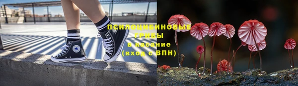 спиды Кодинск