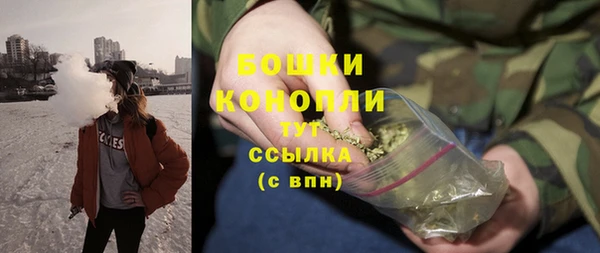сатива Козловка