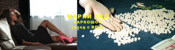 сатива Козловка