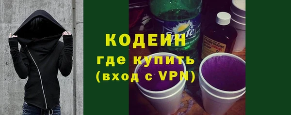 сатива Козловка