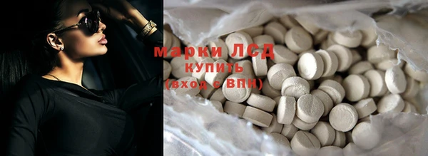 сатива Козловка