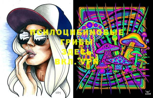 МДМА Козельск