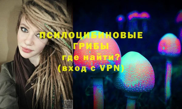 сатива Козловка