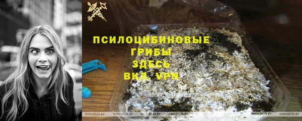 сатива Козловка