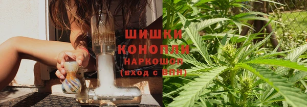 сатива Козловка