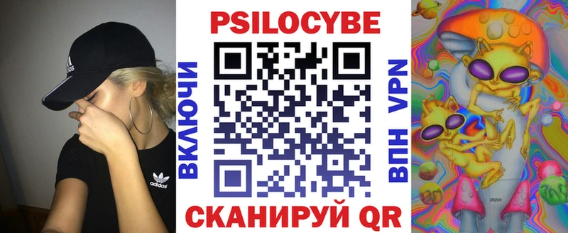 Псилоцибиновые грибы GOLDEN TEACHER  Купить  Жиздра 